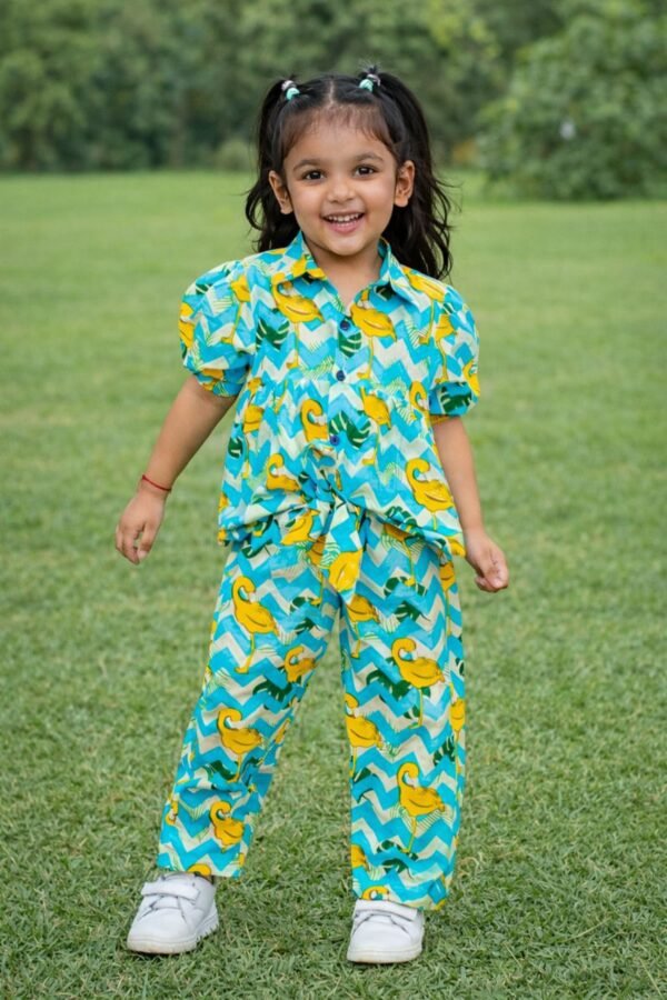 Girls Swan Blue Printed Cotton Coord Set