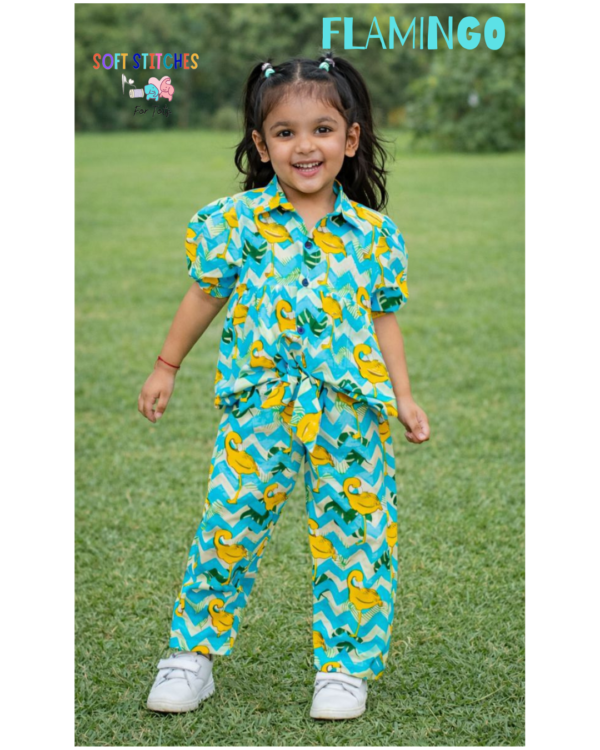 Girls Multicolor Printed Coordset
